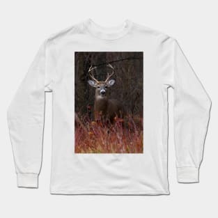 Young Buck - portrait - White-tailed Deer Long Sleeve T-Shirt